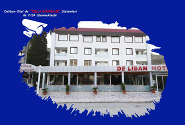 hatay güvelik